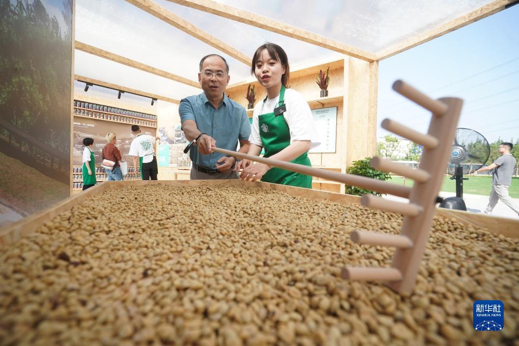 太阳成集团网址